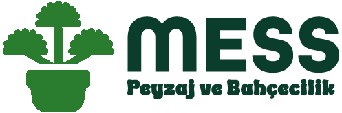 Mess Peyzaj